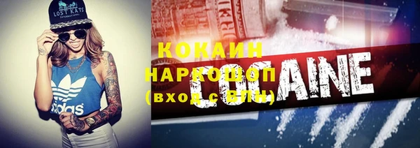шишки Арсеньев