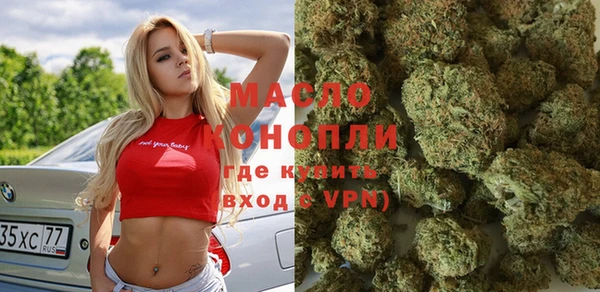 шишки Арсеньев