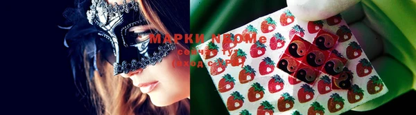 шишки Арсеньев