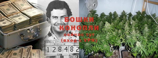 шишки Арсеньев