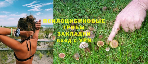 крисы Армянск
