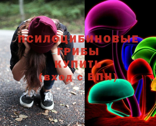 шишки Арсеньев
